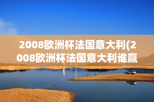 2008欧洲杯法国意大利(2008欧洲杯法国意大利谁赢了)