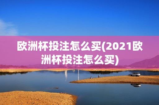 欧洲杯投注怎么买(2021欧洲杯投注怎么买)